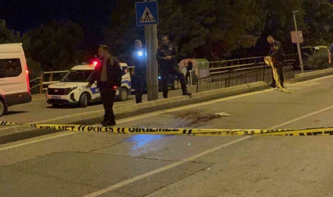 Samsun’da 3 kişinin pompalı tüfekle vurulması olayıyla ilgili 3 kardeş,