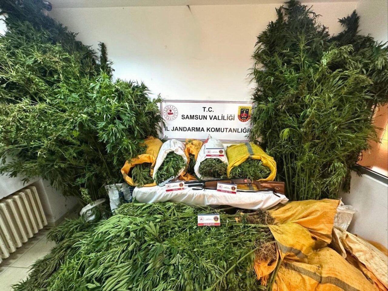 Samsun’da jandarma ekipleri tarafından düzenlenen uyuşturucu operasyonunda 57 kilo 955