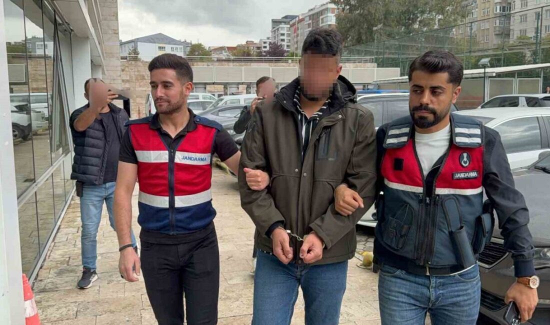 Samsun’da jandarma ekiplerinin terör örgütü DEAŞ’a yönelik düzenlediği operasyonda, Irak