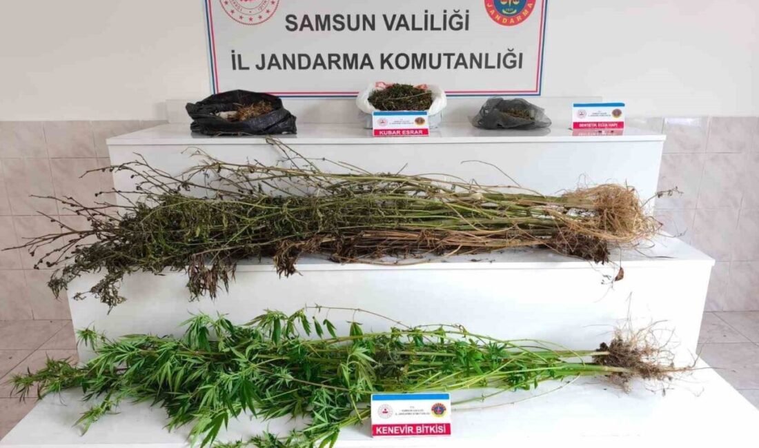 Samsun’da jandarma tarafından düzenlenen uyuşturucu operasyonunda 2 kg 355 gram