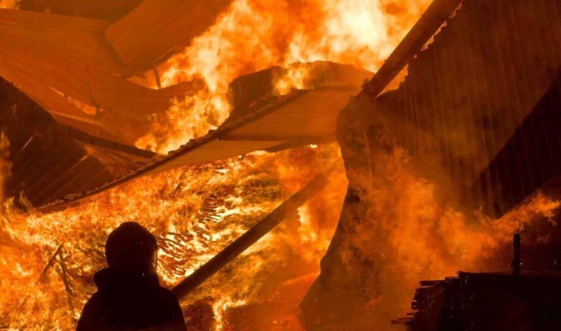 Samsun’un Tekkeköy ilçesinde bulunan bir kereste fabrikasında çıkan yangın kısa