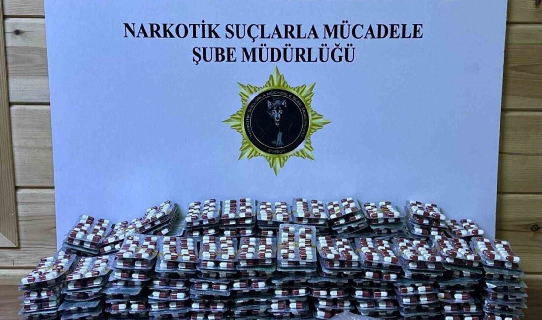Samsun’un Havza ilçesinde narkotik polisinin düzenlediği operasyonda 3 kişi gözaltına