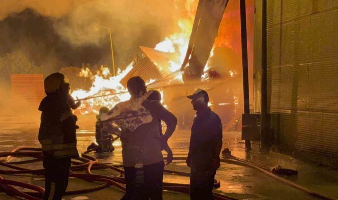 Samsun’un Tekkeköy ilçesinde çıkan kereste fabrikası yangını devam ediyor. Saat