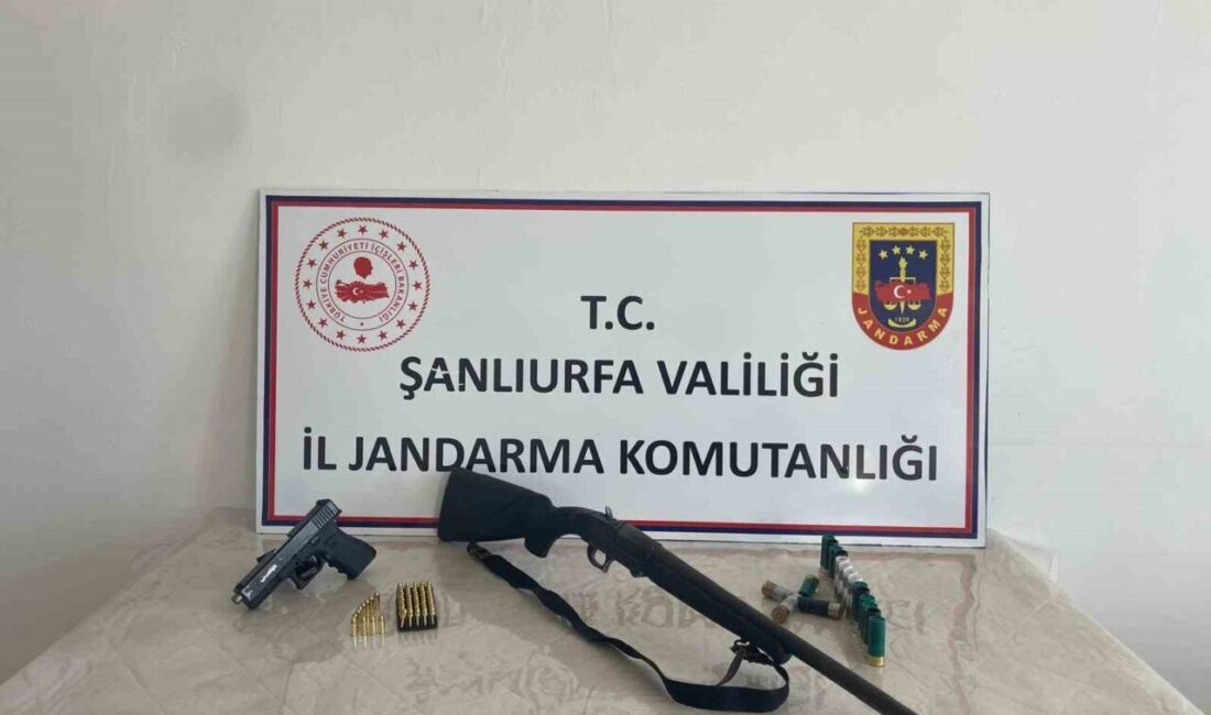 Şanlıurfa’da 4 ilçede yapılan geniş çaplı operasyonda çok sayıda silah