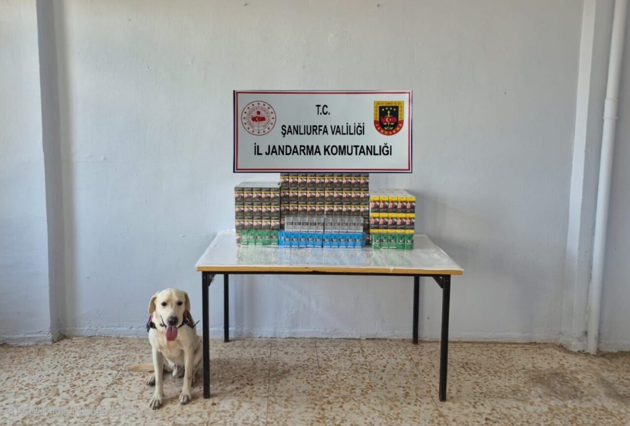 Şanlıurfa’da düzenlenen kaçakçılık operasyonunda, 7 bin 777 paket gümrük kaçağı