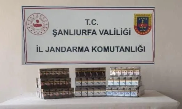 Şanlıurfa’da jandarma ekipleri tarafından yapılan çalışmalar sonucunda 910 paket kaçak