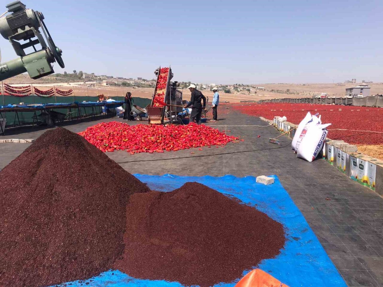 Şanlıurfa’nın vazgeçilmez lezzetleri arasında yer alan isotun üretimi başladı. Kadınların
