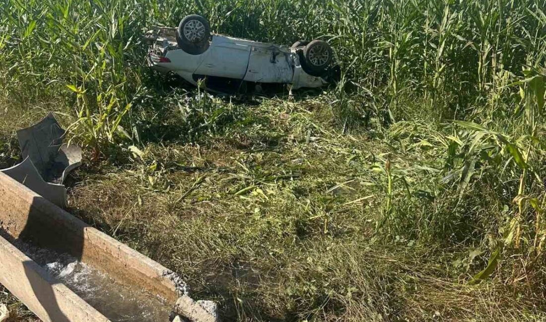 Şanlıurfa’nın Harran ilçesinde otomobilin devrilmesi sonucu meydana gelen trafik kazasında