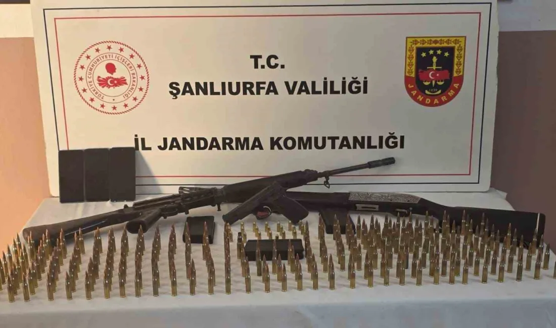 Şanlıurfa’nın Haliliye ilçesinde jandarma ekipleri tarafından yapılan operasyon kapsamında ruhsatsız