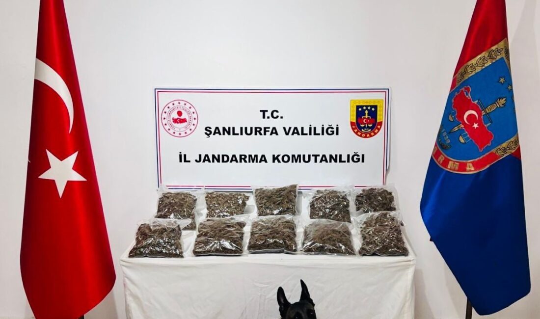 Şanlıurfa’da 7 kilogram skunk ele geçirildi, 1 şüpheli gözaltına alındı.