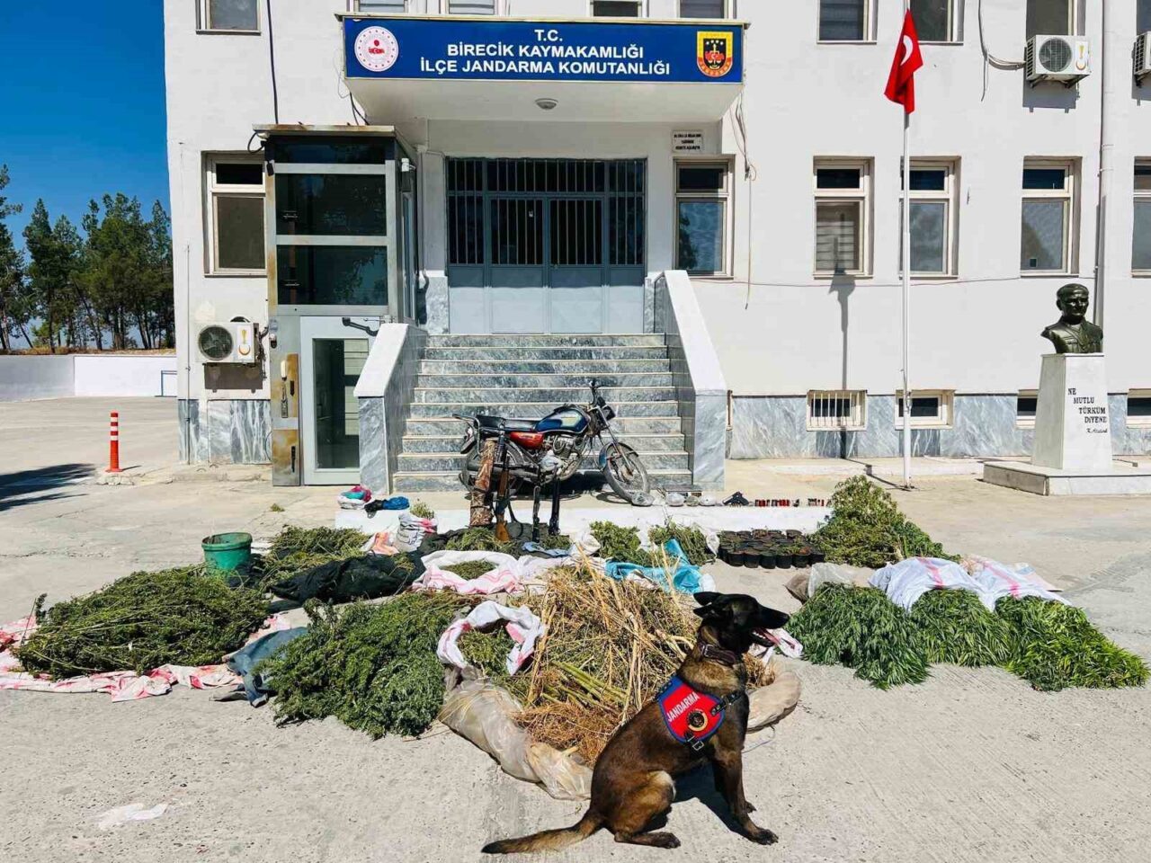 Şanlıurfa’nın Birecik ilçesinde jandarma ekipleri tarafından düzenlenen operasyonda uyuşturucu madde,