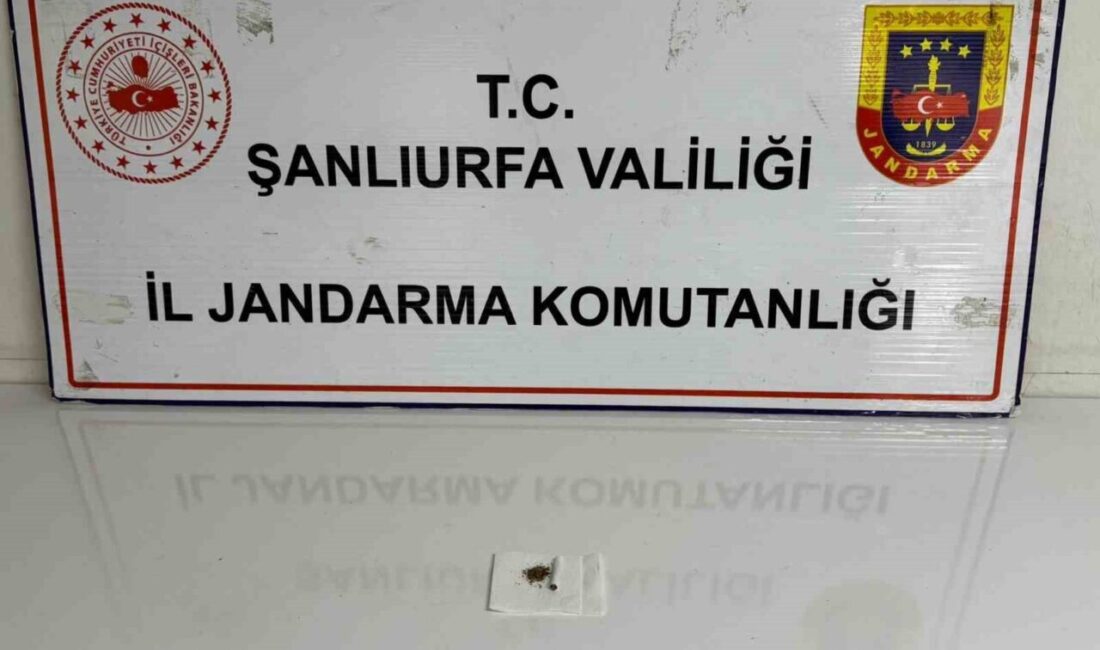 Şanlıurfa İl Jandarma Komutanlığı ekipleri tarafından Halfeti, Birecik ve Siverek