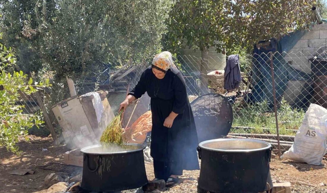 Şanlıurfa’da yapılan hasatla birlikte üzümün pekmez yolculuğu da başladı. Şanlıurfa
