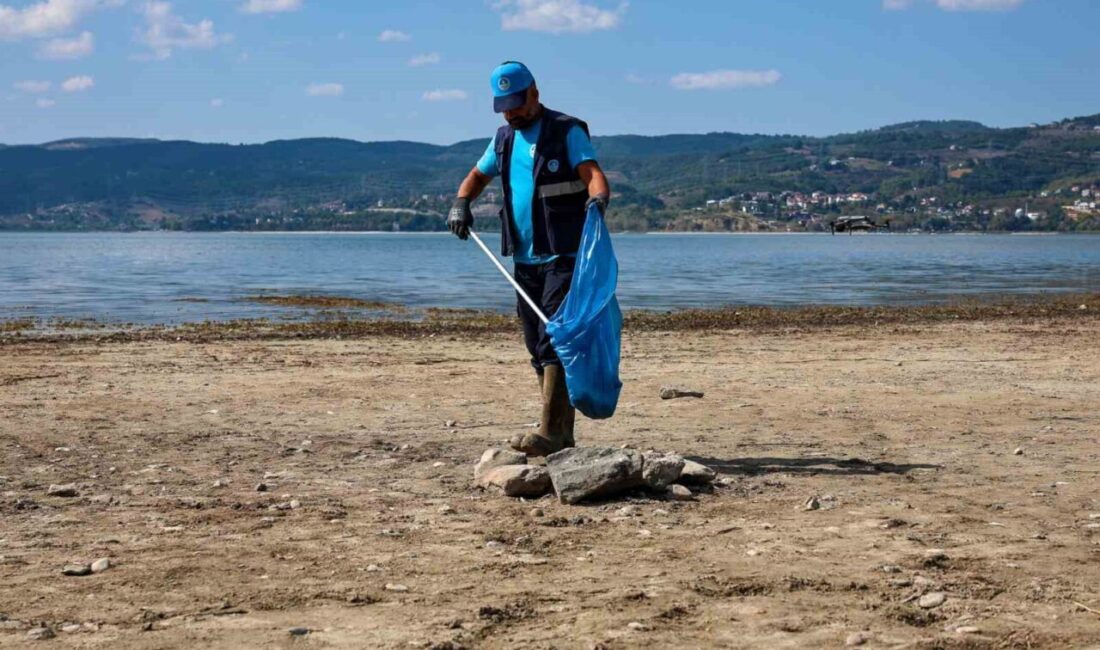 Sakarya Gölü çevresinde 50 dönümlük alanda yürütülen çalışmalarda, ekosisteme zarar