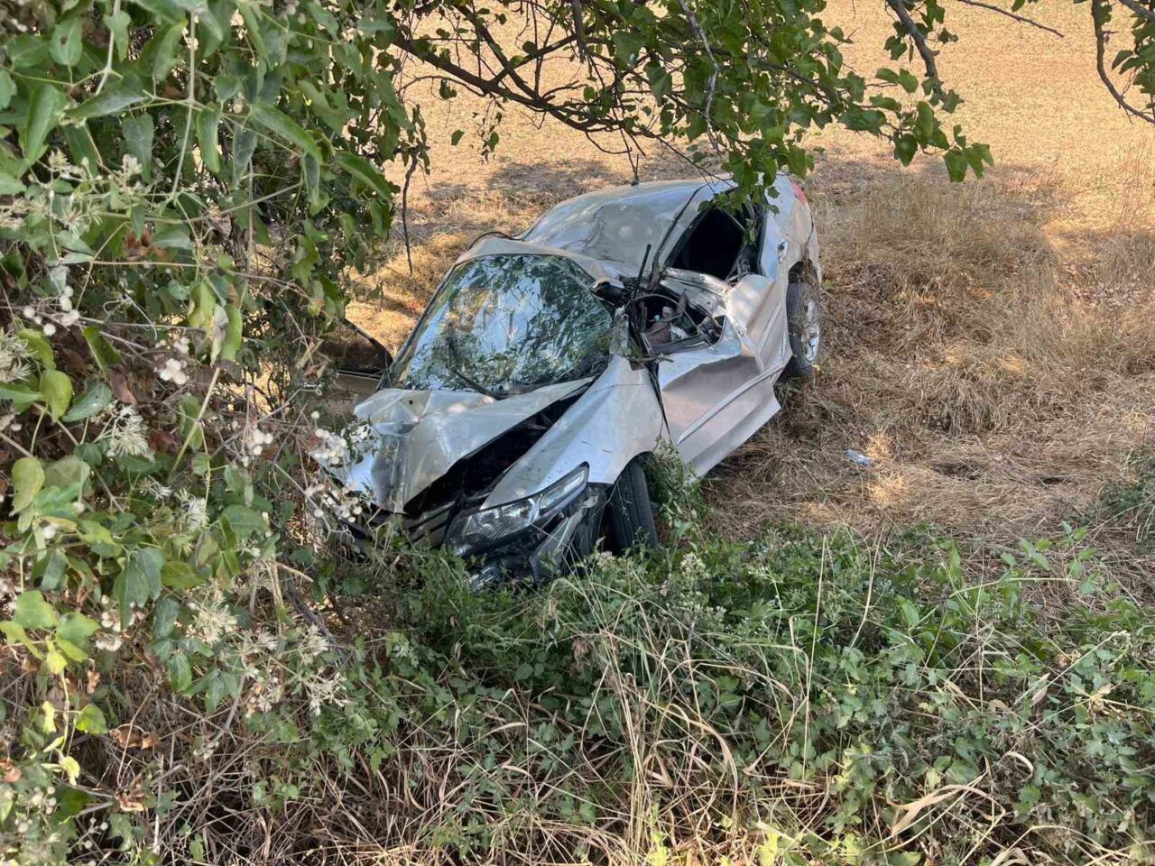 Kastamonu’da şarampole yuvarlanan otomobil, ağaçlara çarparak durabildi. Kazada sürücü ağır