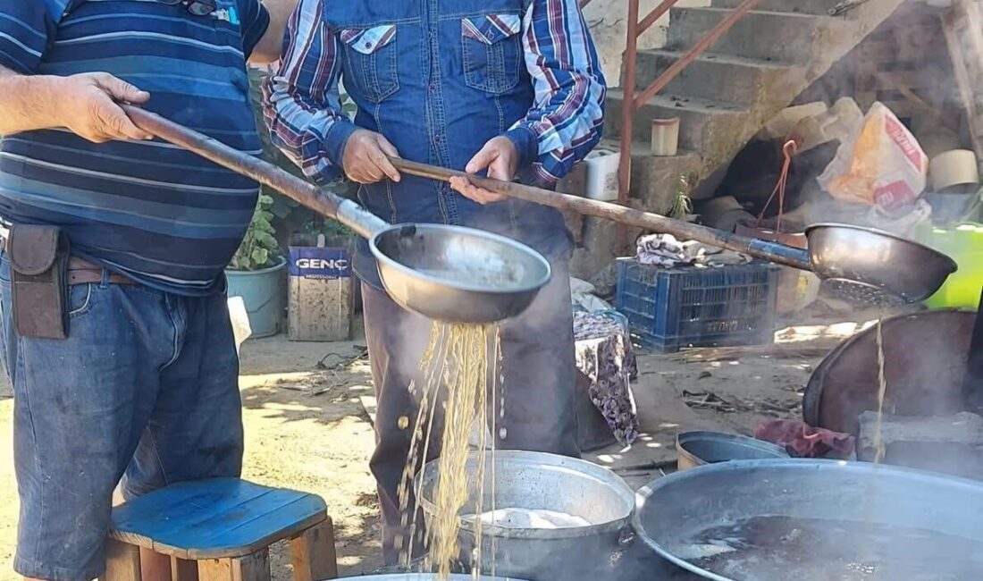 Sarıgöl ve mahallelerinde 2025 yılı üzümlerinden kışlık pekmez yapımına başlandı.