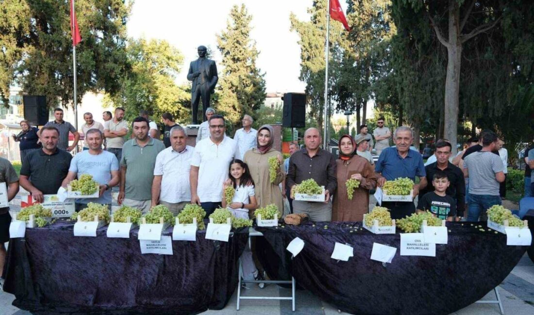 Manisa’nın Sarıgöl ilçesinde düzenlenen 17. Sultani Üzüm Festivalinde birbirinden güzel