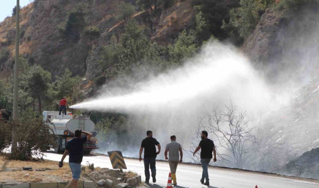 Aydın’ın Söke ilçesinde makilik ve bozuk ormanlık alanda çıkan yangın,