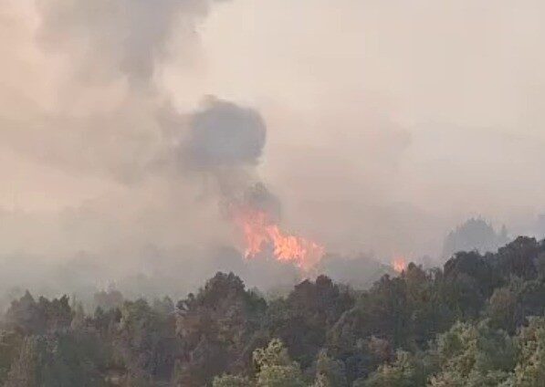 Konya’nın Beyşehir ilçesinde göl kenarındaki sazlık alanda çıkan sazlık yangını