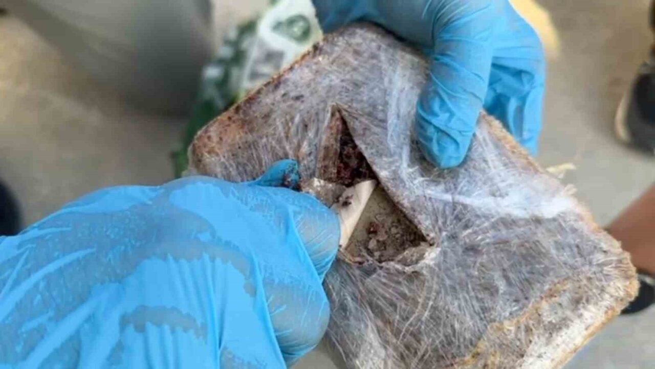 Kocaeli’de polis ekiplerince düzenlenen operasyonda, şehirlerarası yolcu otobüsünde yapılan aramada,