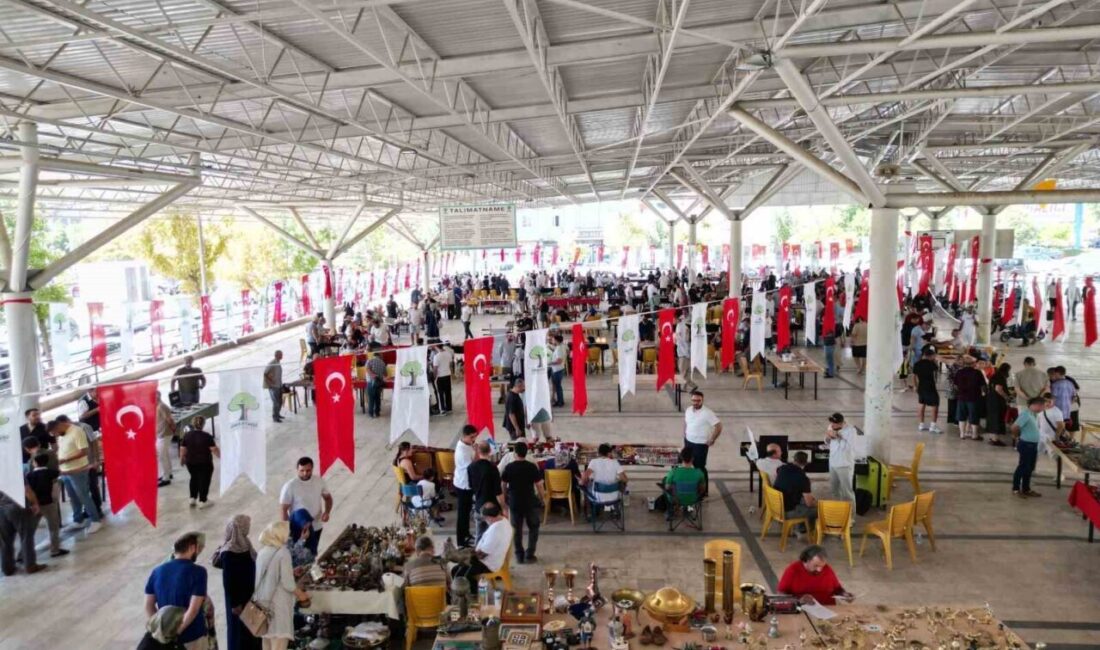 Şehitkamil Belediye Başkanı Umut Yılmaz tarafından hayata geçirilen ve koleksiyonerler