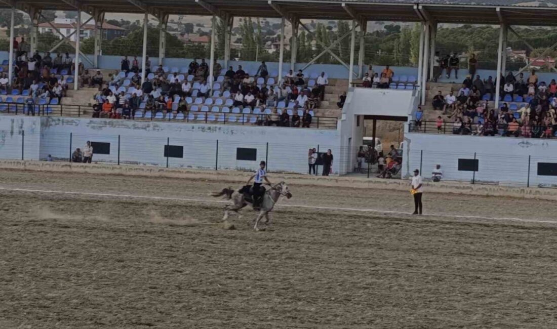 Manisa’nın Selendi ilçesinde düzenlenen atlı cirit müsabakalarının finalinde rakibini mağlup