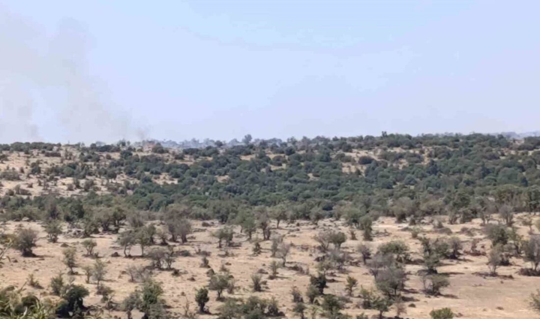 Manisa’nın Selendi ilçesinde çıkan makilik alanda çıkan yangın havadan ve