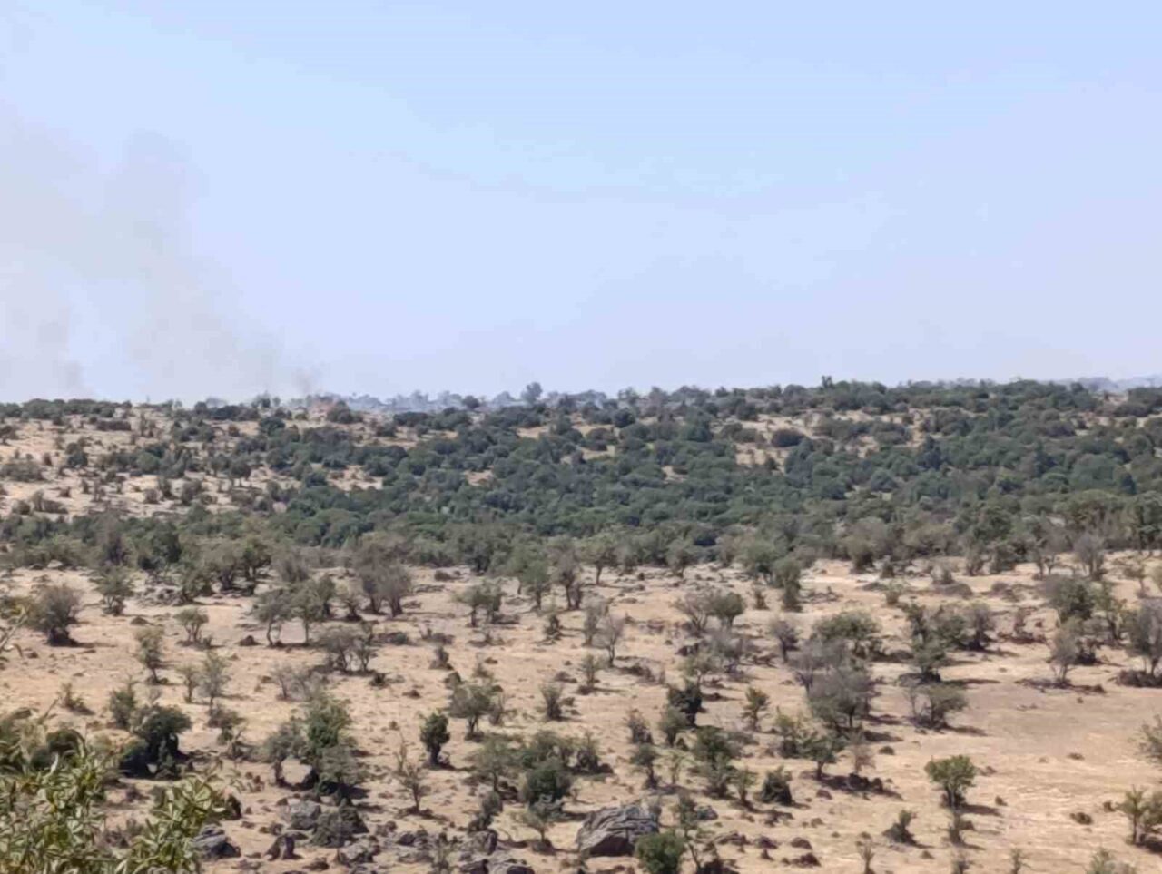 Manisa’nın Selendi ilçesinde çıkan makilik alanda çıkan yangın havadan ve