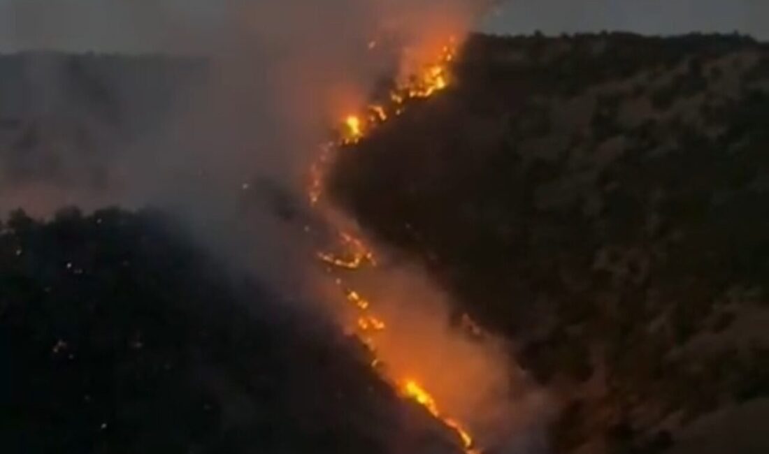 Hakkari’nin Şemdinli ilçesinde ormanlık alanda çıkan yangın korkuya neden olurken,
