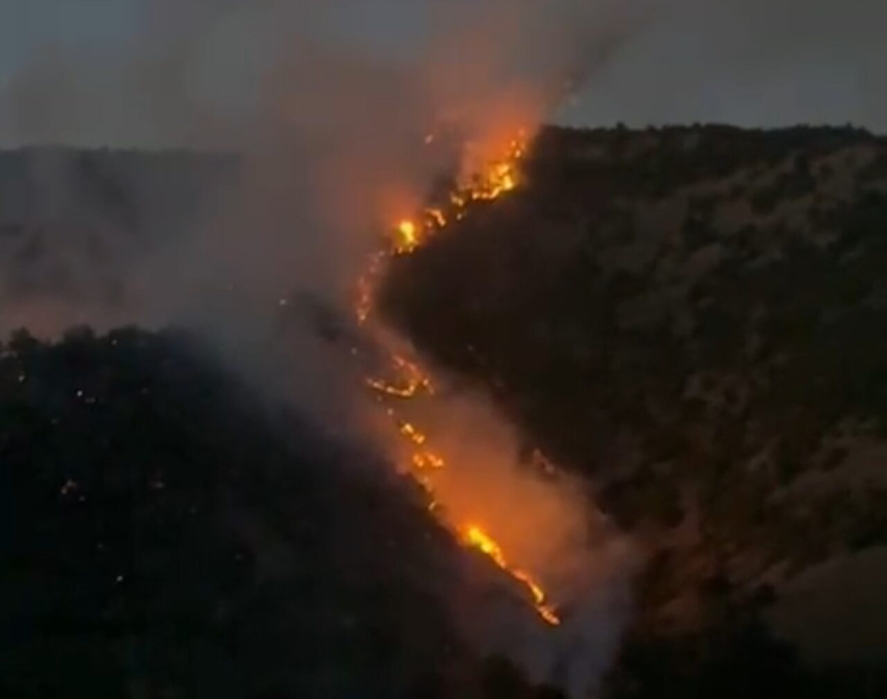 Hakkari’nin Şemdinli ilçesinde ormanlık alanda çıkan yangın korkuya neden olurken,