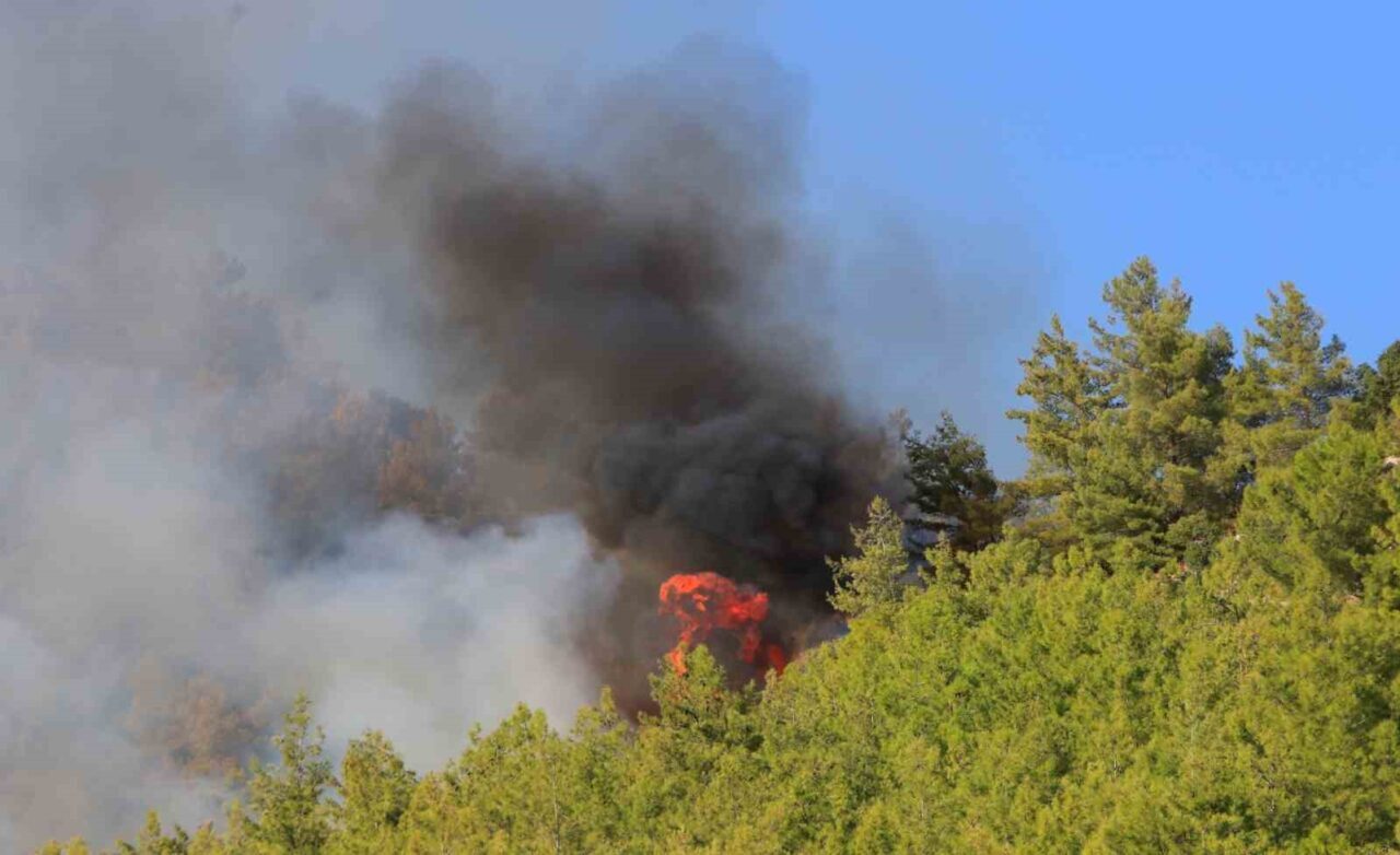 Antalya’nın Serik ilçesinde öğlen saatlerinde çıkan ve enerjisi düşürülen yangına