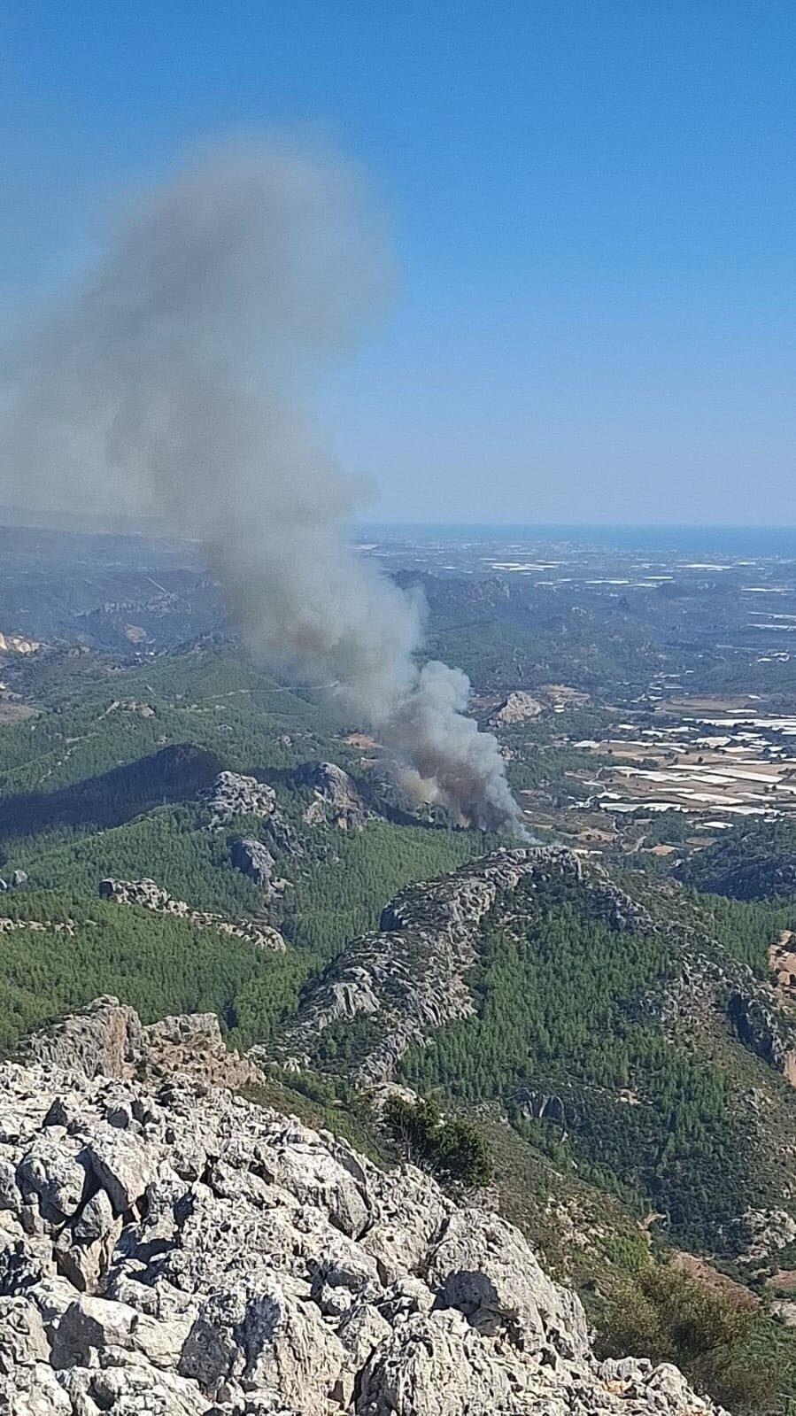 Antalya’nın Serik ilçesinde başlayan orman yangınına ekipler müdahale ediyor. Bilginler