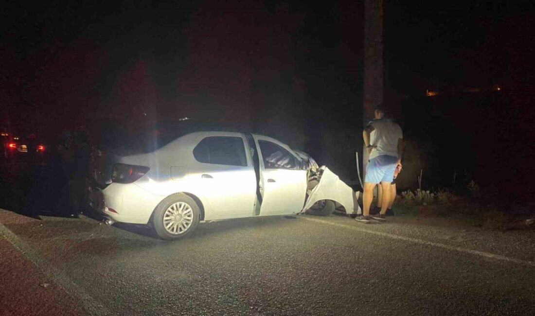 Denizli’de seyir halindeyken ön tekeri patlayan otomobil yoldan çıkara elektrik