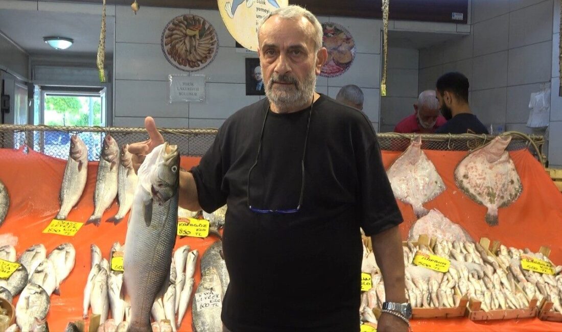 Balık sezonunun açılmasıyla tezgahlar şenlenirken, hamsi ve istavrit bolluğu dikkat