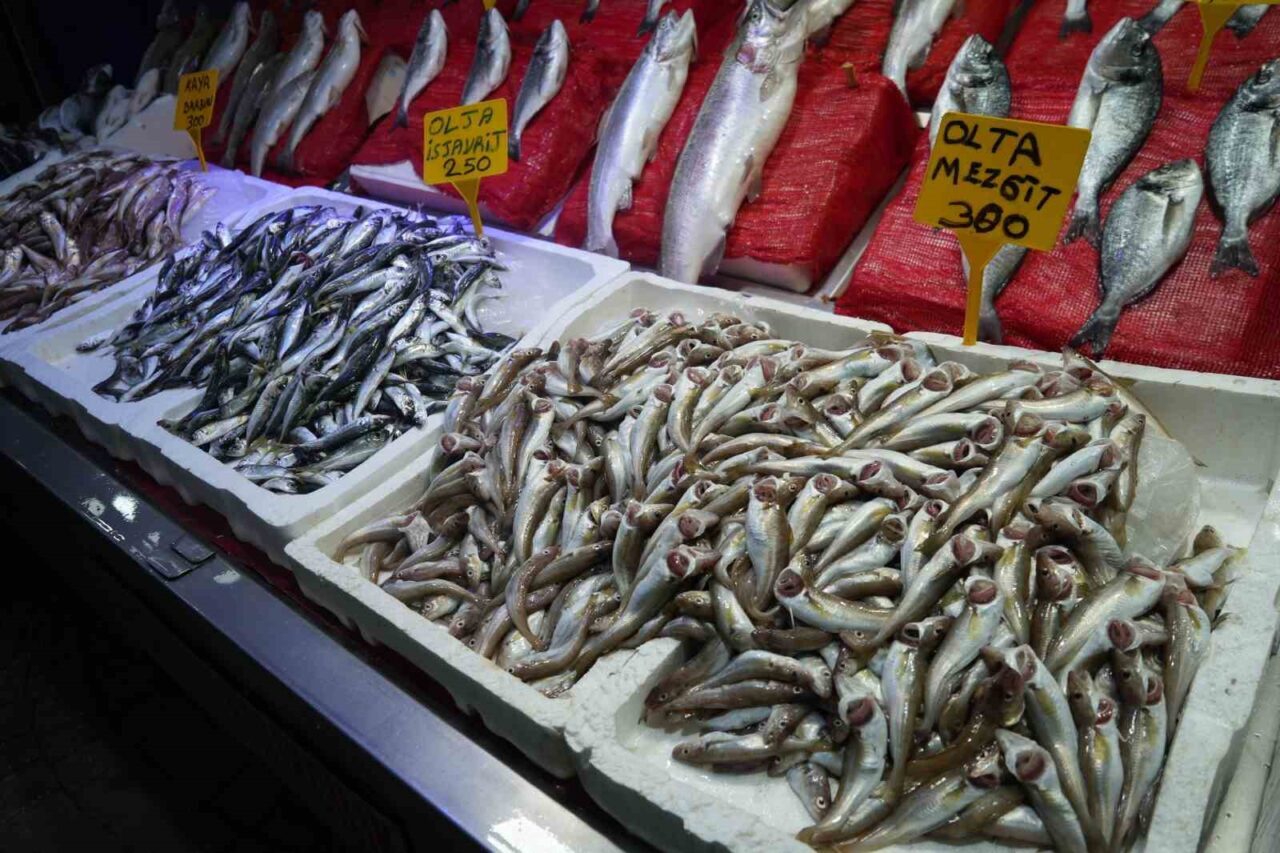 Denizlerde av sezonunun açılmasıyla birlikte Karadenizli balıkçıların tezgahını mezgit, barbun