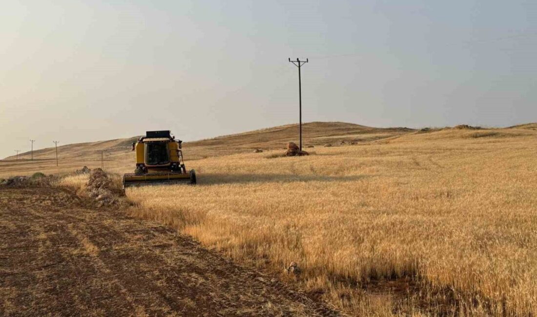 Siirt İl Tarım ve Orman Müdürlüğü, 2026 üretim yılına ait