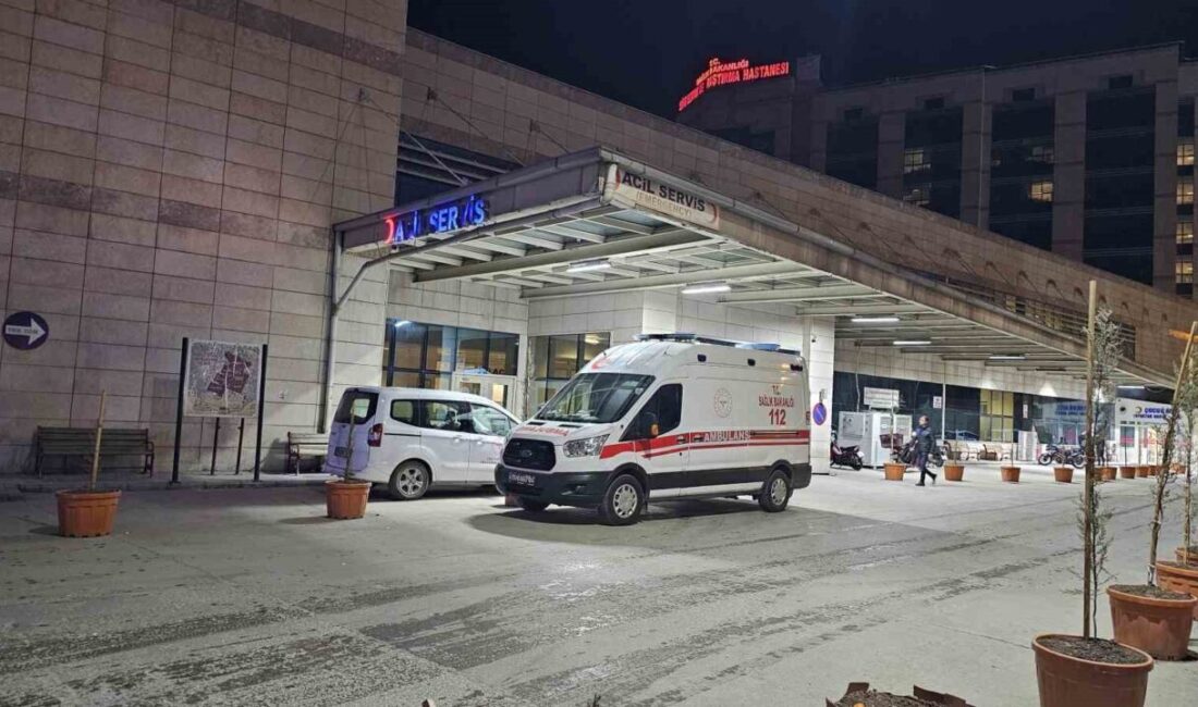 Siirt’in Şirvan ilçesinde meyve toplamak için çıktığı ağaçtan düşen şahıs