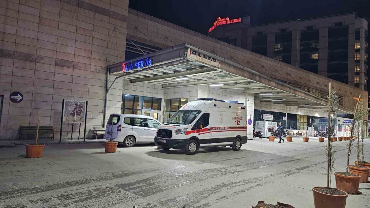 Siirt’in Şirvan ilçesinde meyve toplamak için çıktığı ağaçtan düşen şahıs