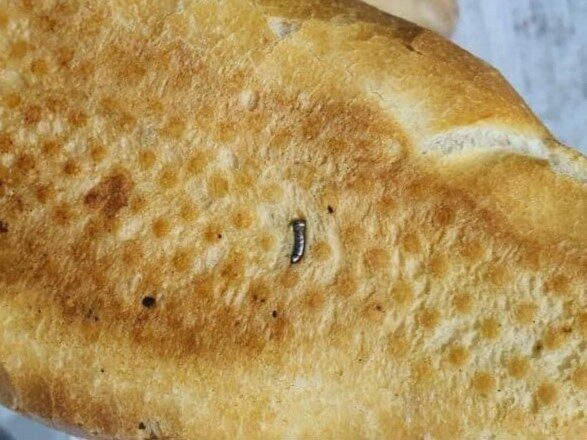 Siirt’te bir vatandaşın satın aldığı ekmekten çivi çıktı. Edinilen bilgilere