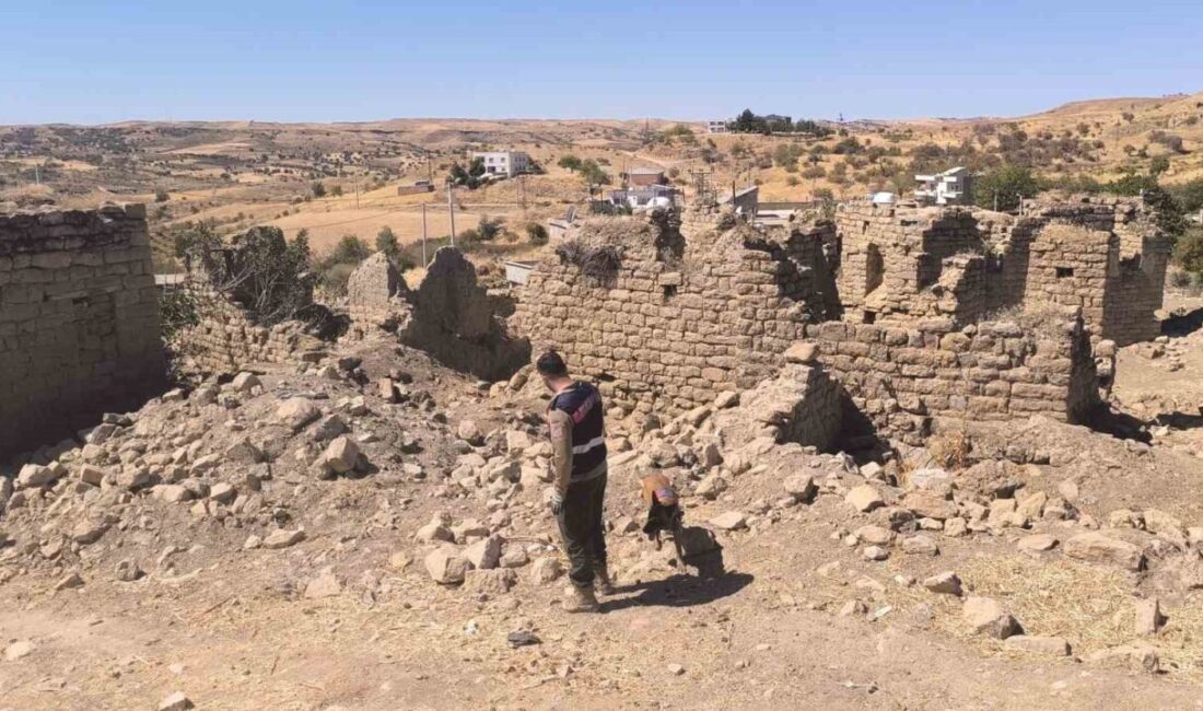 Siirt’in Kurtalan ilçesinde 17 Eylülde kaybolan Alzheimer hastası 82 yaşındaki