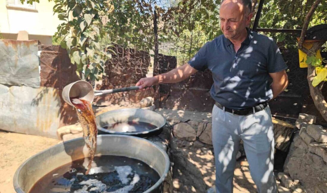 Siirt’te hasadı yapılan sinceri üzümü, geleneksel yöntemlerle kaynatılarak pekmeze dönüştürülüyor.