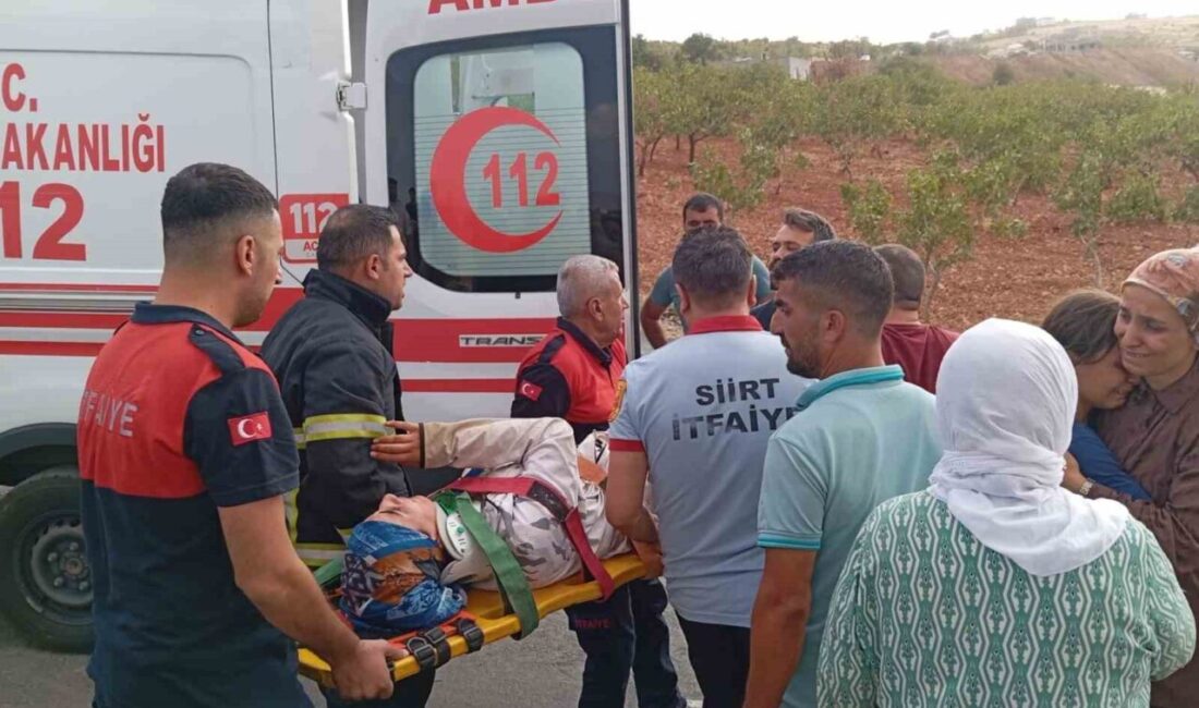 Siirt’in Gökçebağı yolunda iki aracın çarpıştığı kazada 3 kişi yaralandı
