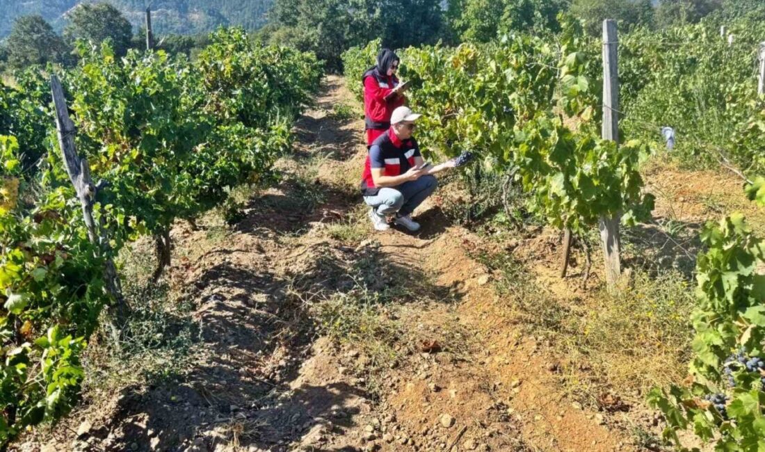 Simav İlçe Tarım ve Orman Müdürlüğünce Yeniköy, Hacıhüseyinefendi ve Aksaz