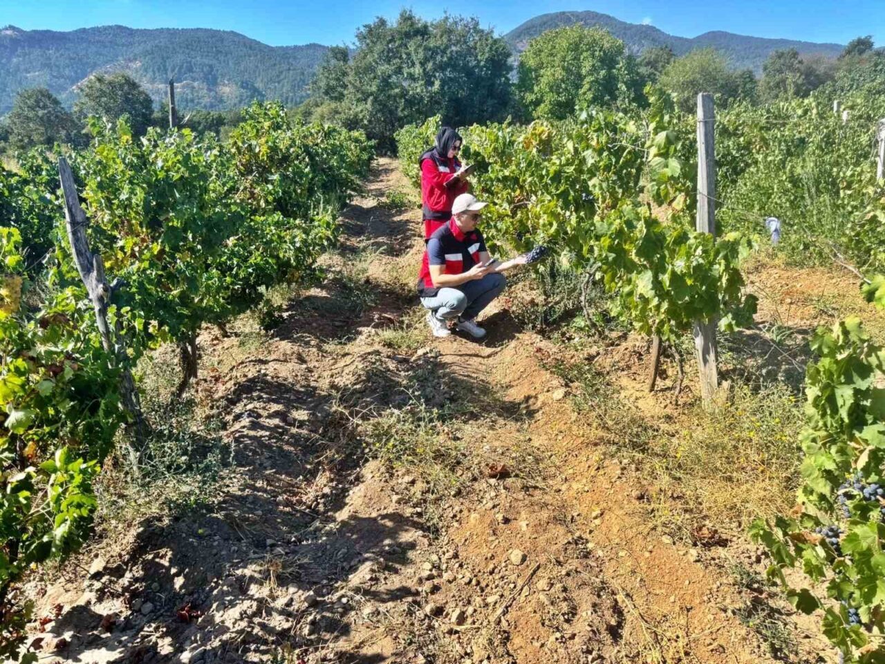 Simav İlçe Tarım ve Orman Müdürlüğünce Yeniköy, Hacıhüseyinefendi ve Aksaz
