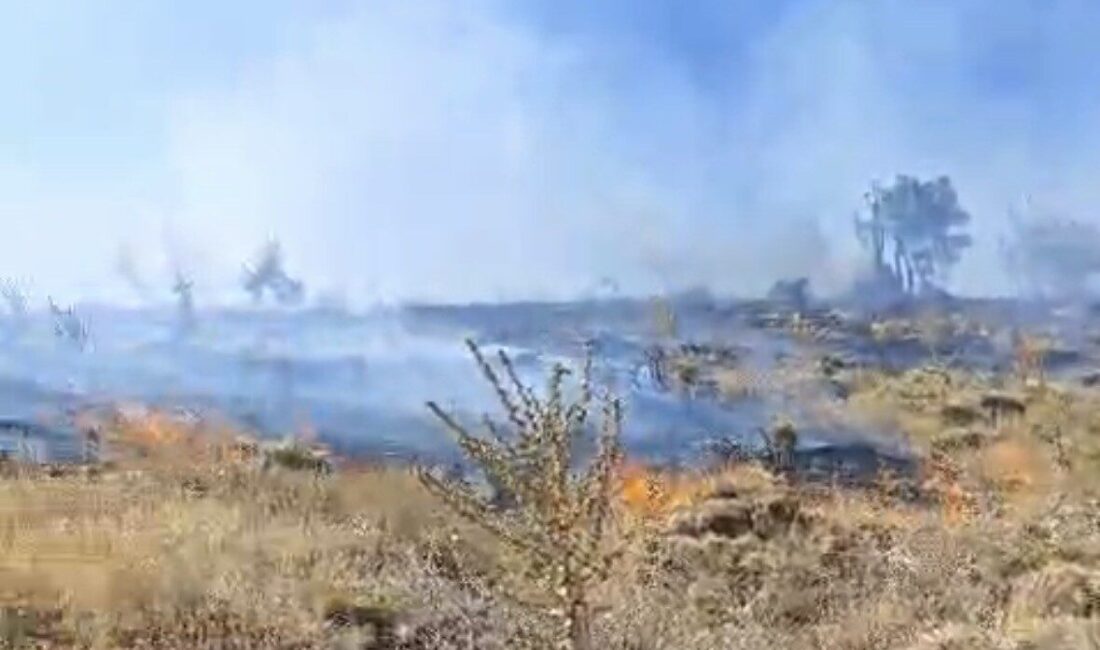Adıyaman’ın Sincik ilçesinde ormanlık alanda çıkan yangında geven bitkisi ve