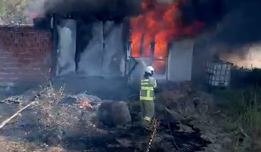 Balıkesir’in Sındırgı ilçesine bağlı kırsal Küçükbükü Mahallesi’nde bir damda çıkan