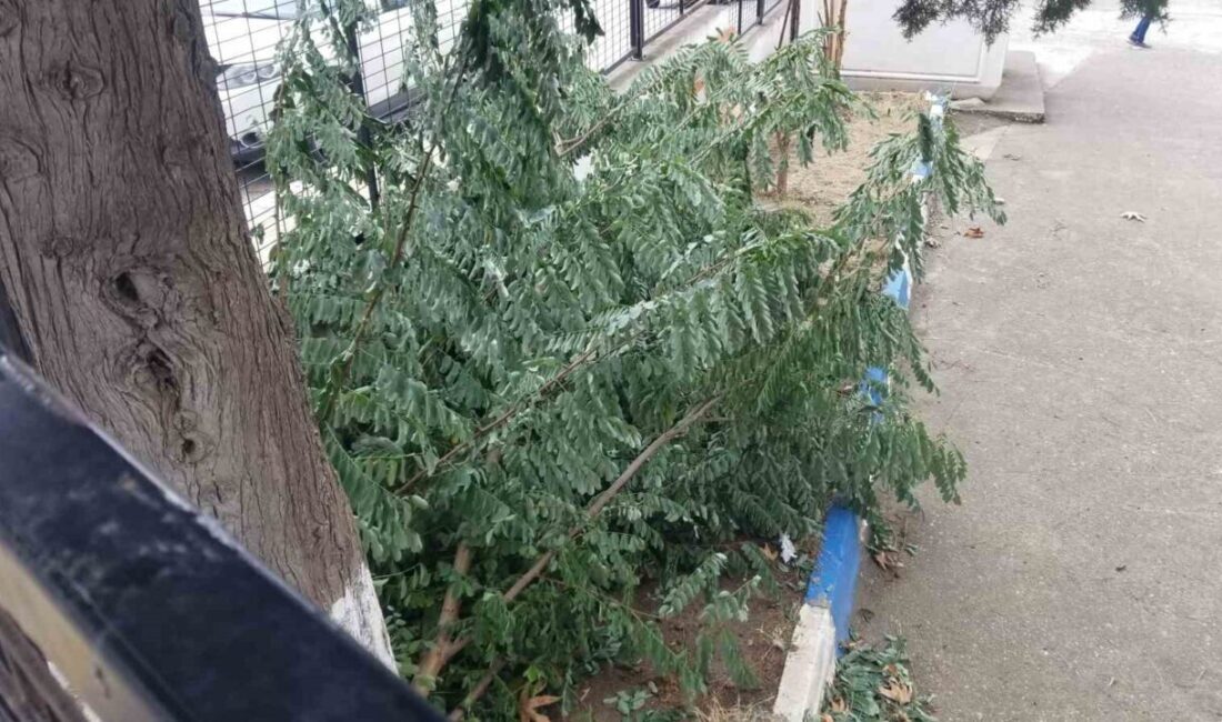 Sinop’ta etkili olan fırtına hayatı olumsuz etkiledi. Sinop kent merkezinde