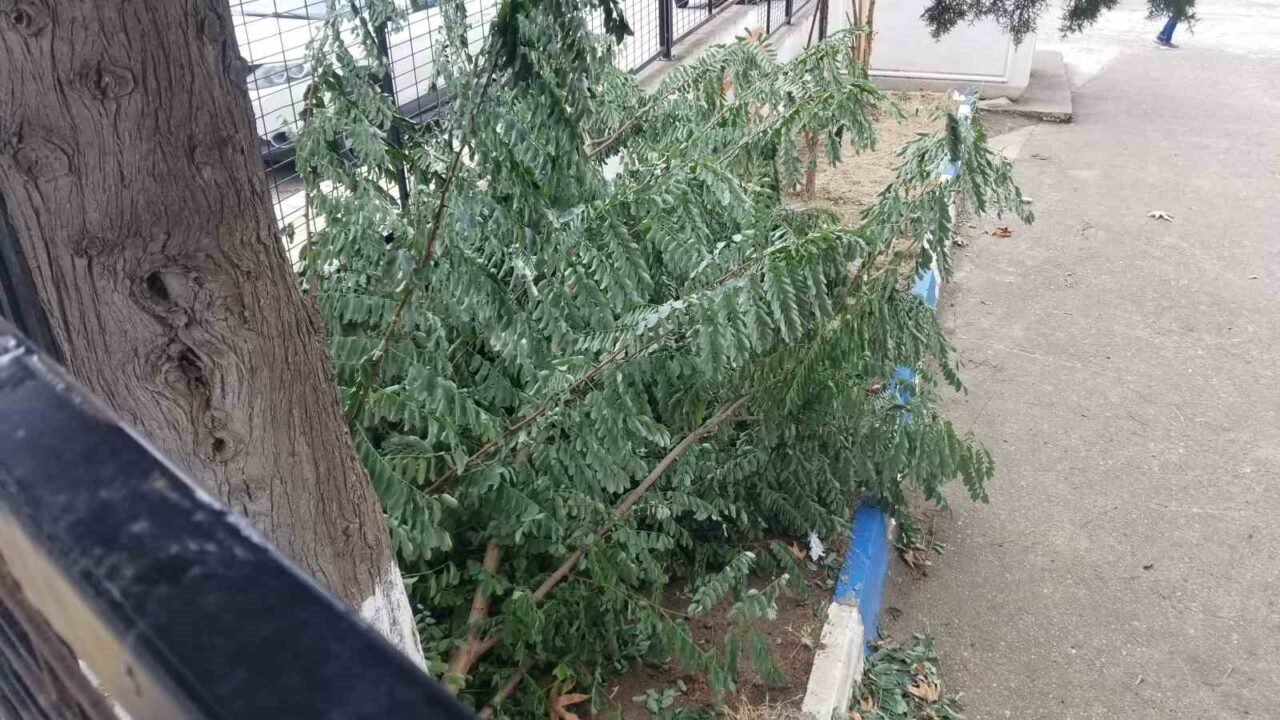 Sinop’ta etkili olan fırtına hayatı olumsuz etkiledi. Sinop kent merkezinde