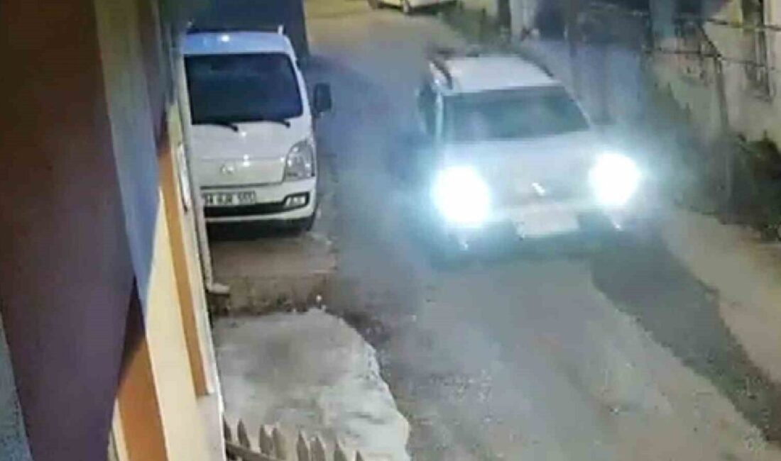 Sinop’ta aniden yola fırlayan yavru kedi, bir aracın çarpması sonucu