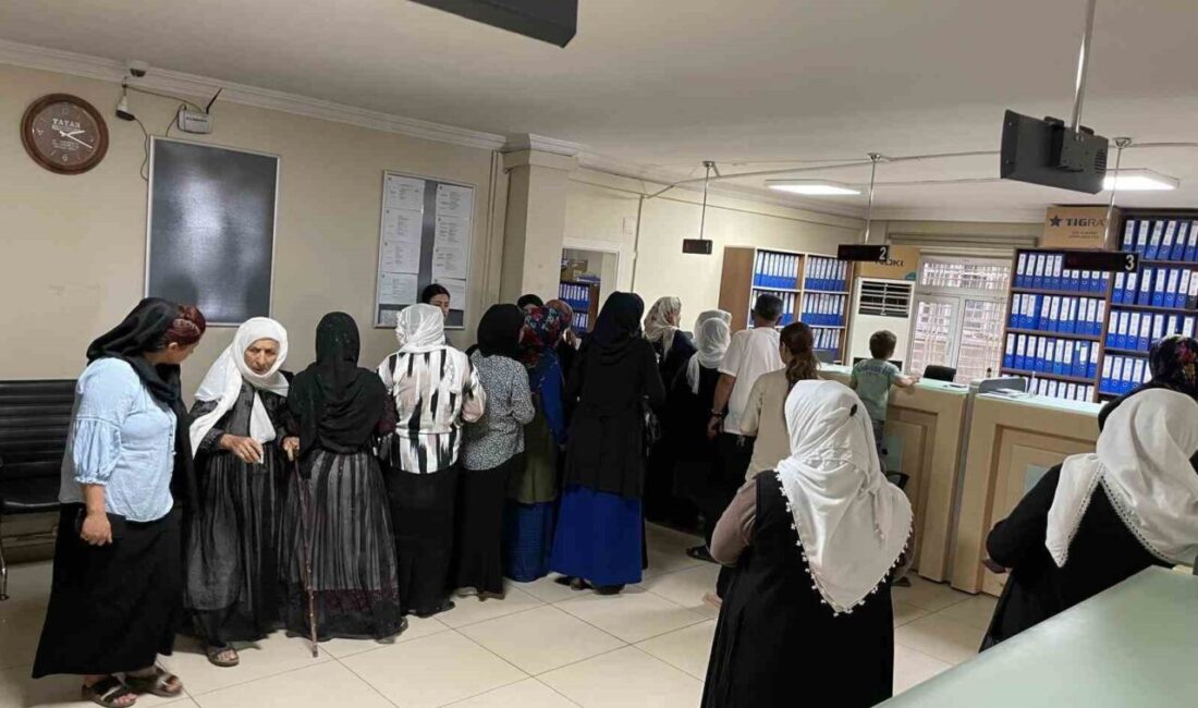 Şırnak Valiliği Sosyal Yardımlaşma ve Dayanışma Vakfı (SYDV), 2024-2025 eğitim-öğretim